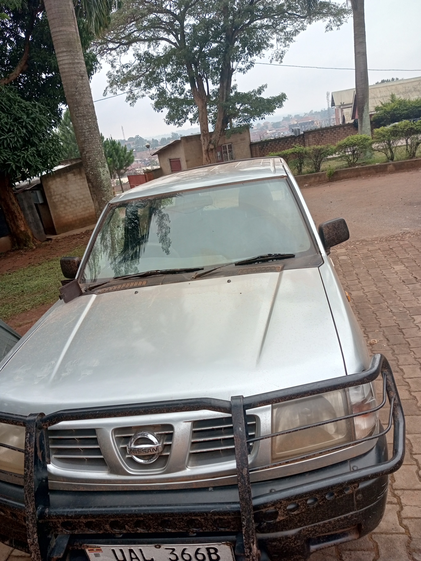 Nissan Hardbody